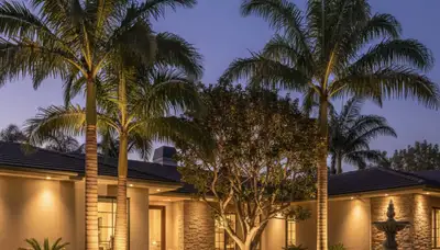 Dramatic tree uplighting design by Chop Chop Landscaping in San Diego, CA enhancing evening curb appeal