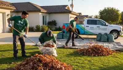 Technicians performing fall leaf removal and yard clean up in San Diego, CA landscaping service