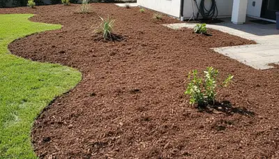 Fresh mulch installation with clean edges by Chop Chop Landscaping in San Diego, CA