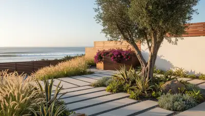 San Diego CA landscaping contractor providing professional landscape design and installation services