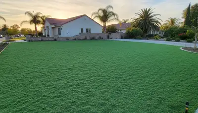 Professional hydroseeding enhances properties in San Diego, CA