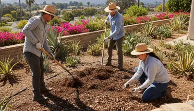 Applying organic compost and soil amendments to landscape beds in San Diego, CA for healthy lawns